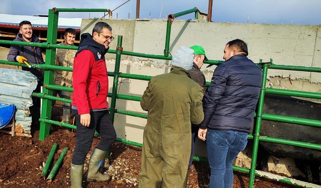 Kırşehir’de veteriner ekipler sahada