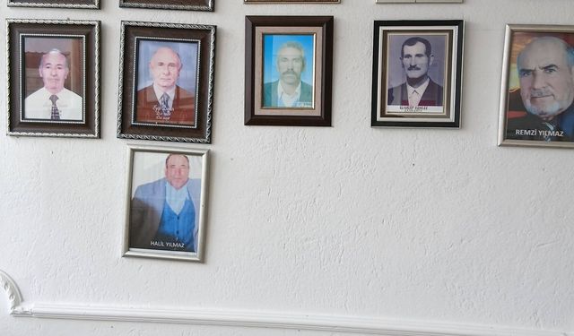 Tepefakılı Köyü’nün ölümsüz çınarları