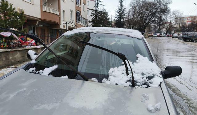 Faydalı mı Yoksa Masraf mı Çıkarıyor?