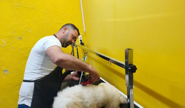 Kırşehir’in ilk ve tek Pet Kuaförü 2 yıldır hizmette