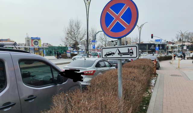 Kural Tanımazlık Pes Dedirtti: Yasak Tabelasının Gölgesinde Park Kuyruğu