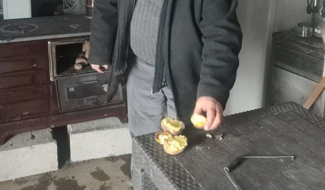 Kar yağdı, sobalar yandı, patates közlendi