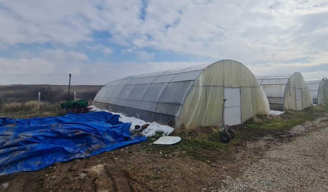 Kırşehir’de Seracılık Çalışmaları Ankara Büyükşehir’e Örnek Oldu