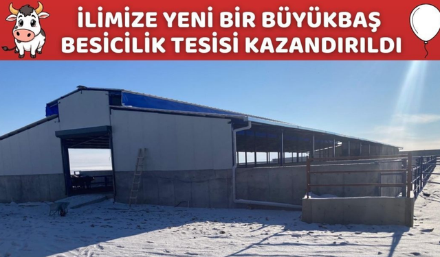 Kırşehir’e Yeni Büyükbaş Besicilik Tesisi Kuruldu