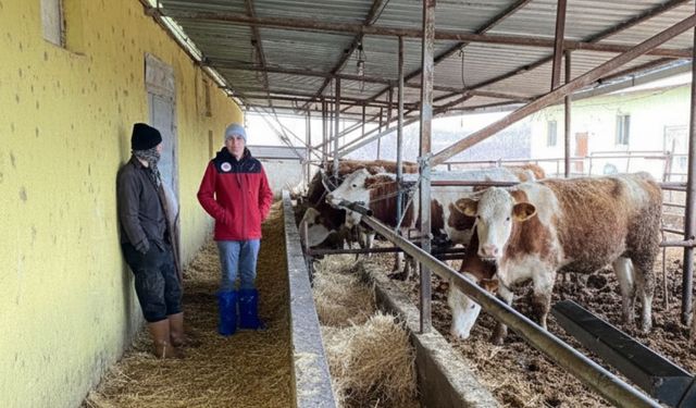 Kırşehir Tarım Müdürlüğü harekete geçti