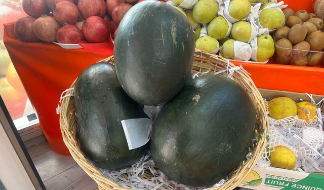 Kırşehir’de kışın ortasında yaz esintisi