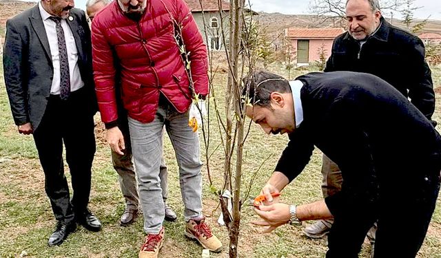 Çiçekdağı’nda çevre seferberliği: Fidanlar toprakla buluştu