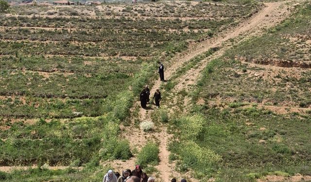 Kırşehirli Gençler Doğanın Kalbine Yürüdü!
