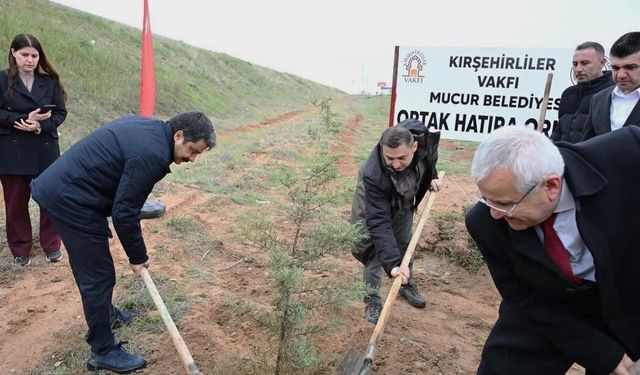 Binlerce fidan geleceğe umut oldu