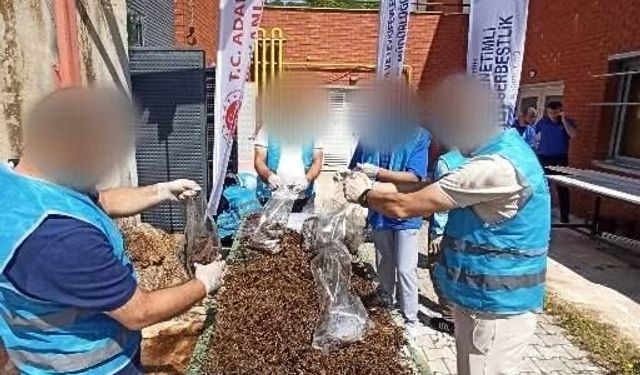 Kırşehir'de Dikkat Çeken Proje!
