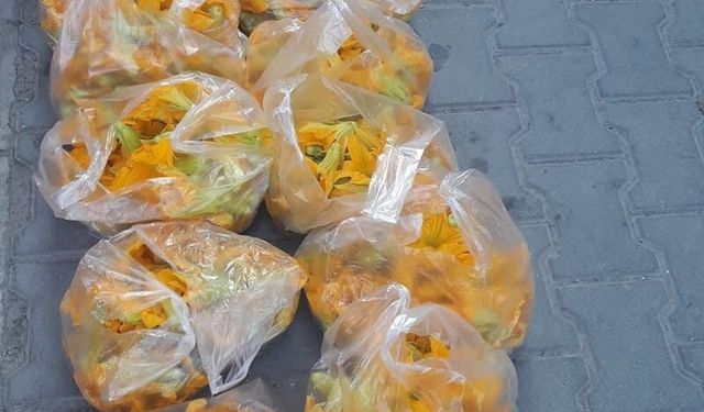 Kabak Çiçeği Dolması Sezonu Başladı