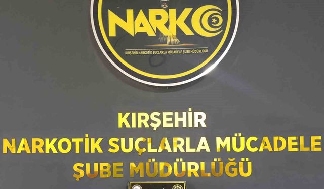 Kırşehir'de 166 Sentetik Hap ve 475 Gram Madde Ele Geçirildi
