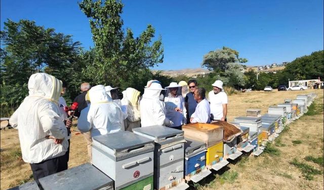 Kırşehir’de Bal Hasadı Başladı: Arıcılar Sezonun İlk Ürünlerini Topluyor