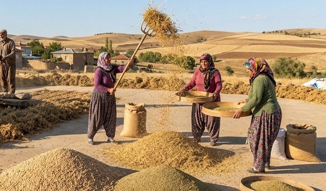 Boztepe’de Yeşil Mercimek ve Nohut İçin Toplantı Düzenlenecek
