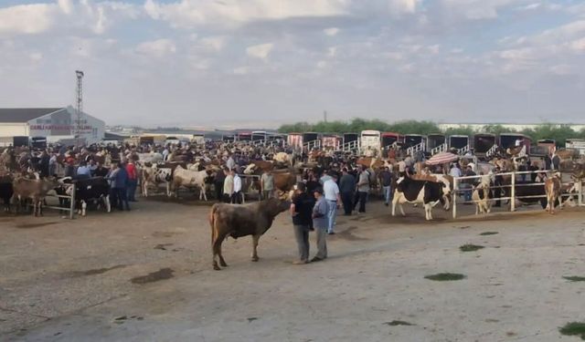Kırşehir Ticaret Borsası'nda pazar hareketliliği devam ediyor