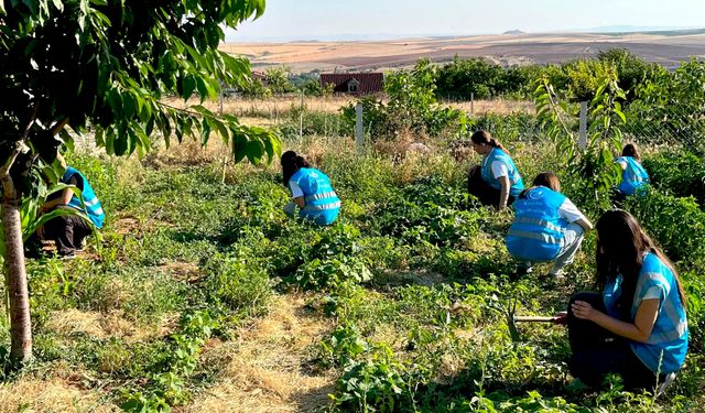 Kırşehir Ülkü Ocakları’nda Permakültür Projesi'nde hasat heyecanı