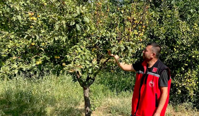 Kırşehir’de tarımsal üretimde denetimler sıklaştırıldı