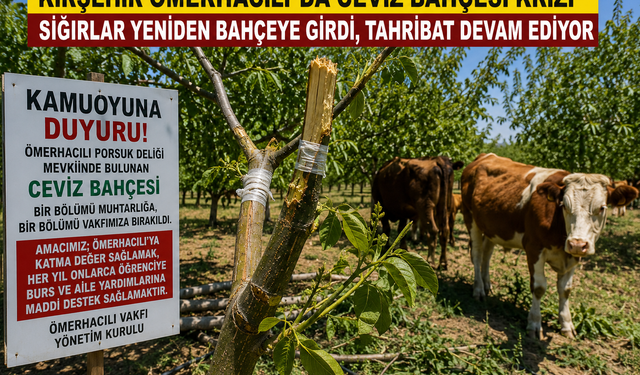 Ömerhacılı’da Ceviz Bahçesi Alarmı! Vakıf Yönetiminden Sert Tepki