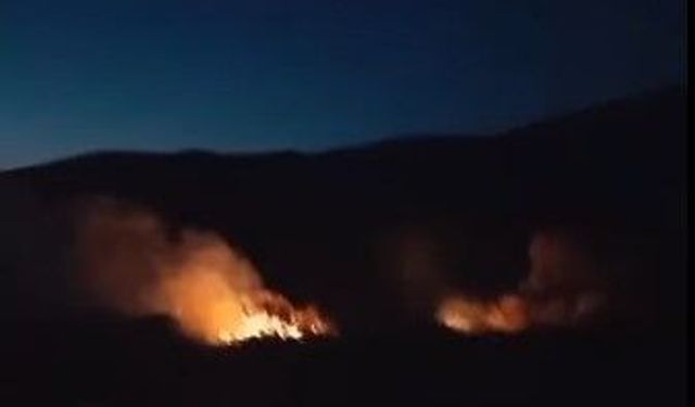 Yangına itfaiye ekiplerinden hızlı müdahale