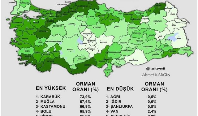 Kırşehir En Az Orman Varlığına Sahip İller Arasında!