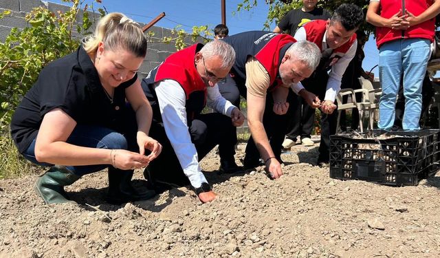 Kırşehir'de Kadın Çiftçiler Mor Altın Ekmeye Başladı