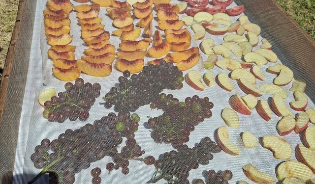 Güneşte kurutma sezonu devam ediyor