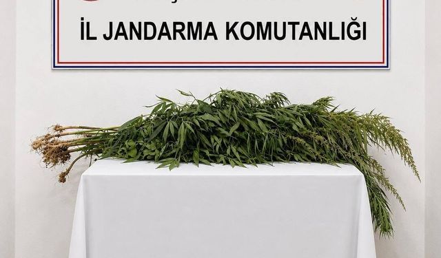 Kırşehir’de iki adrese operasyon