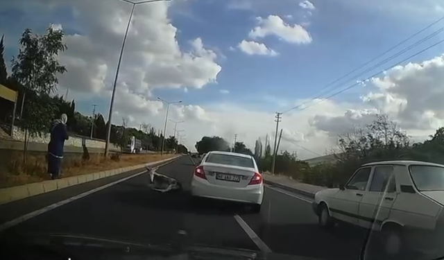 Yol ortasında yaralı eşek böyle görüntülendi