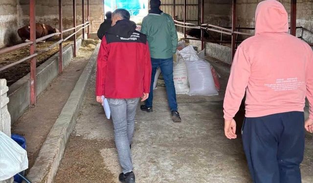 Mucur’da Hayvan İşletmelerinde Kapasite Kontrolleri Gerçekleştirildi
