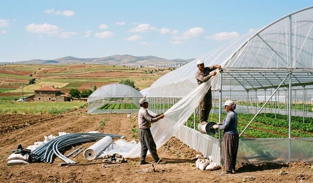 Kırşehir’de üreticilere yüzde 50 hibeli sera desteği