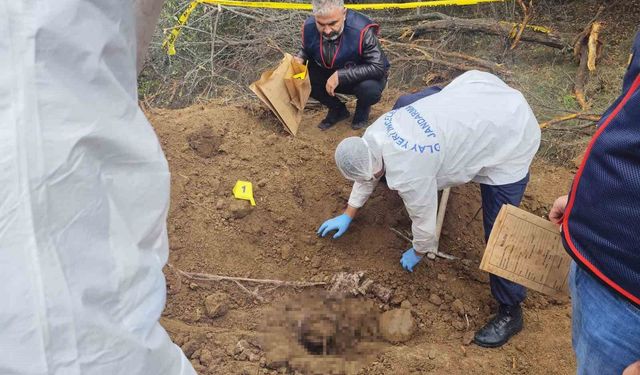 Kırşehir'de 20 yıllık faili meçhul çözüldü! Babanın kemikleri arazide bulundu, 2 oğlu tutuklandı