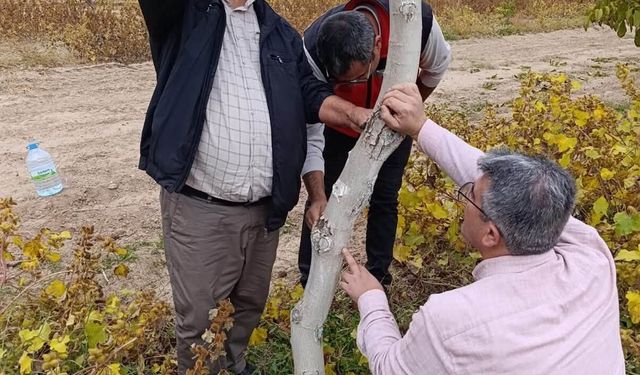 Ekipler Dört Bir Kanda Sahada