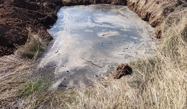 Mahalle Sakinlerinden İlgili Kurumlara Acil Çağrı!