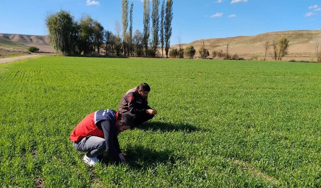 Ekipler sahada kuş uçurtmuyor