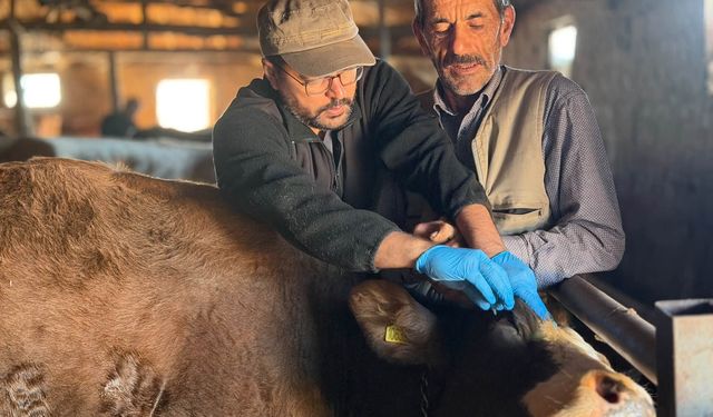 Yetiştiriciler için sıkı takip