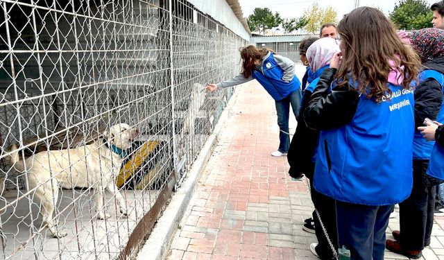Gençler, barınaktaki can dostlarını yalnız bırakmadı