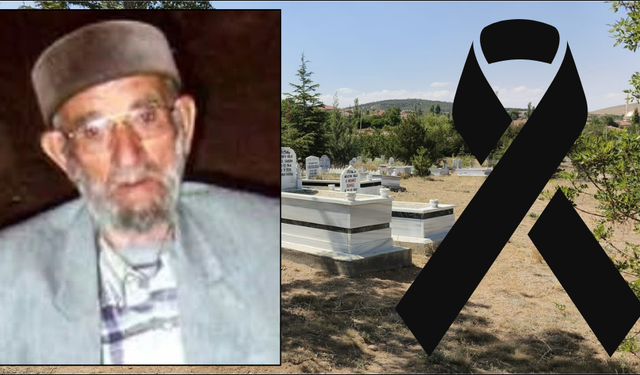 Ulu çınar hayatını kaybetti
