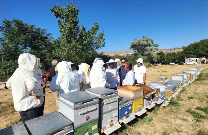 Kırşehir’de Bal Hasadı Başladı: Arıcılar Sezonun İlk Ürünlerini Topluyor