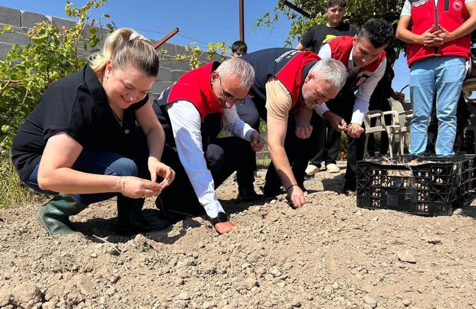 Kırşehir'de Kadın Çiftçiler Mor Altın Ekmeye Başladı