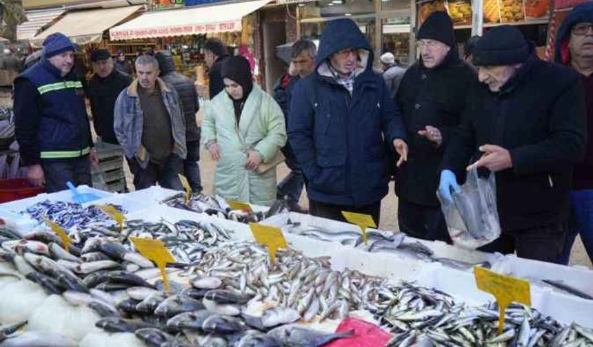 Gençlik iksiri kolajen sayesinde hamsiye olan ilgi arttı: Kadınlar eşlerinden hamsi istiyor