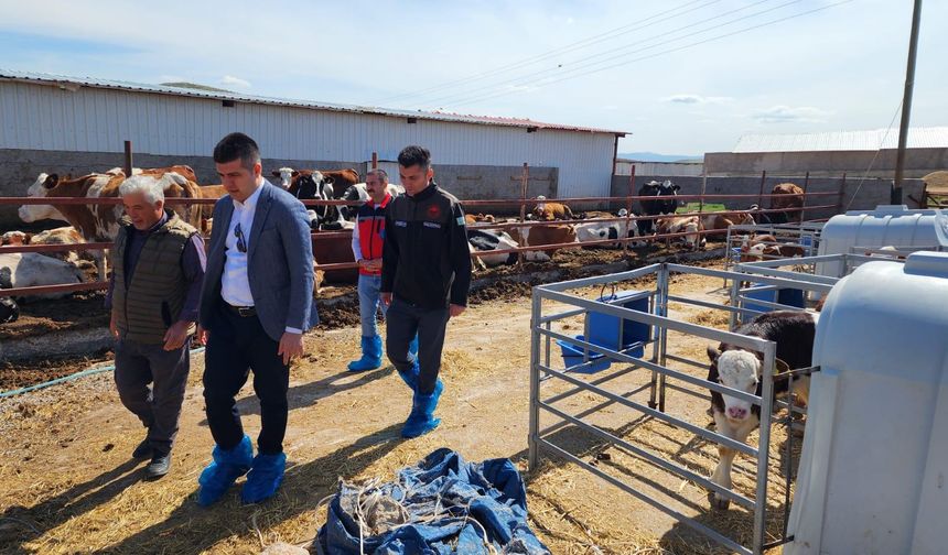 Kaymakam Yeşilbaş, çiftlikleri inceledi
