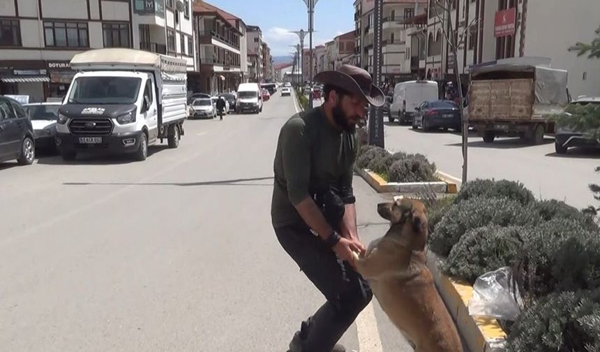 Seyyah Ömer, ‘Yoldaş’ ile 63. durağı olan Yozgat’ta fidan dikti