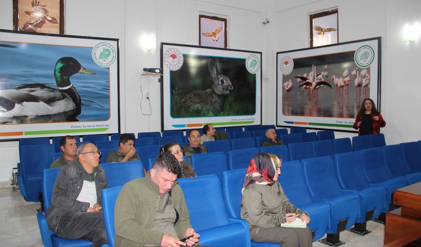 Gökyüzünde sessiz yolculuk