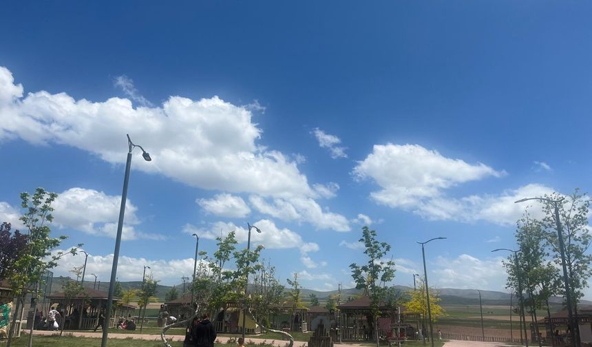 Kırşehir'de parklar et koktu!