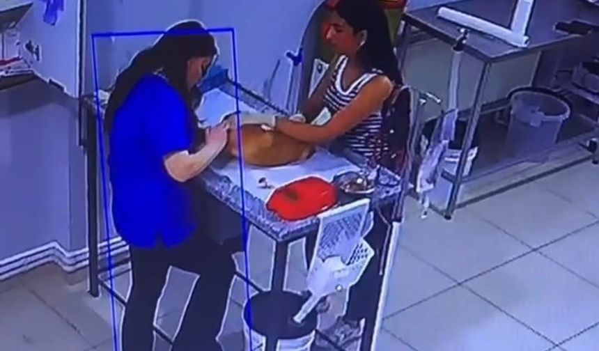 Veteriner kliniğinde köpeğini tedavi ettiren kadın bayıldı