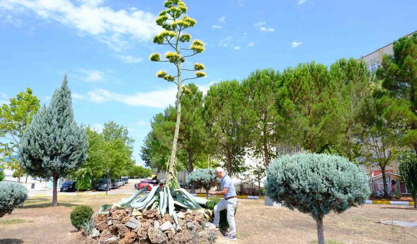 20 yıl sonra açtı