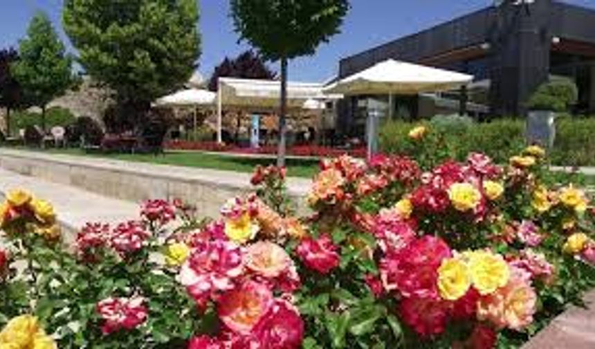 Kırşehir Belediyesi’nden tesisler 30 Ağustos düzenlemesi