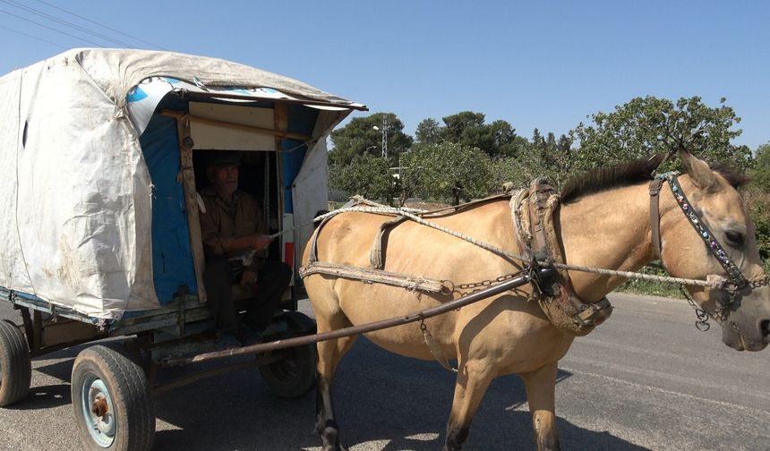 Kültürü yaşatılıyor, 20 yıldır kapı kapı dolaşıyor