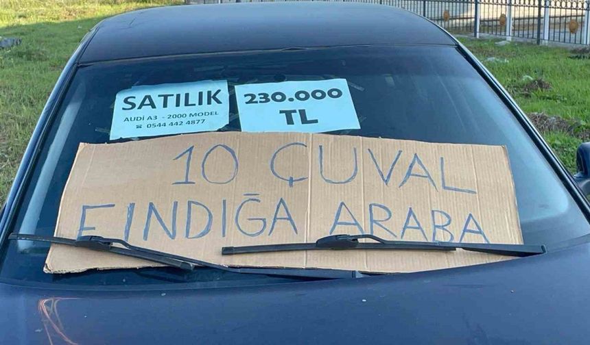 Fındıkla araba sahibi olma şansı