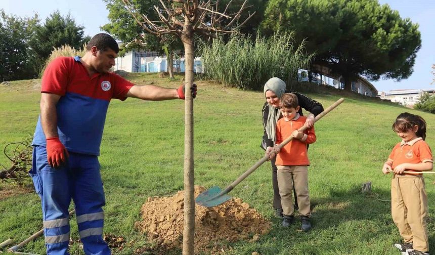 Her bebek için bir fidan, toprakla buluşuyor